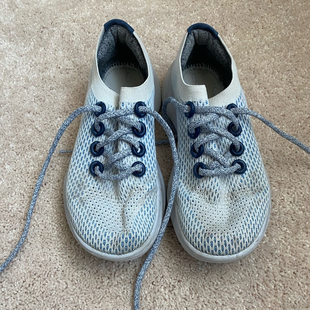 Allbirds Tree Dashers in Blue